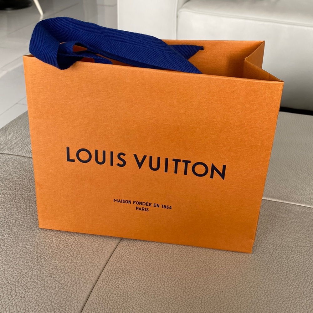 Louis Vuitton Shopping (Gift) Bag
